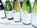 France's Burgundy Bourgogne Wine Region