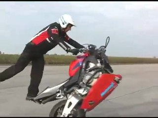 ZOLTAN no front no hands