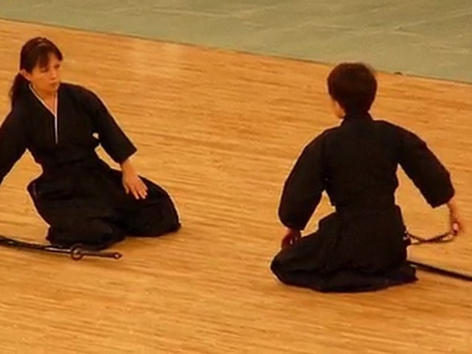 Tennen Rishin Ryu Kenjutsu
