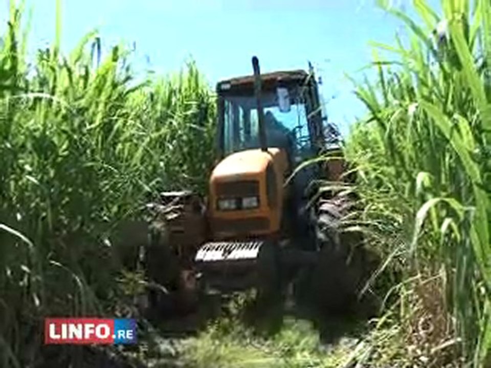 info faits divers réunion: BAGASSE