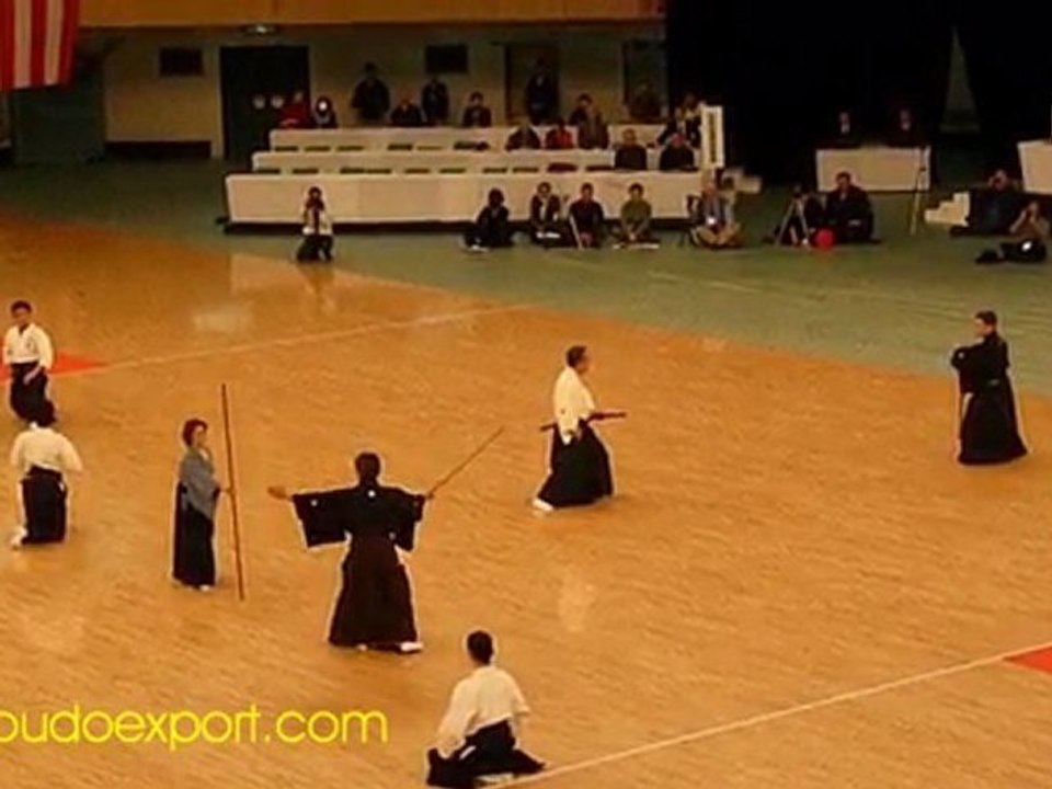Shingetsu Muso Yanagi Ryu Jujutsu