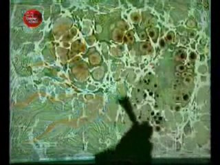 Ebru Sanatı Eşliğinde Karga İle Bülbül'ün Hikayesi