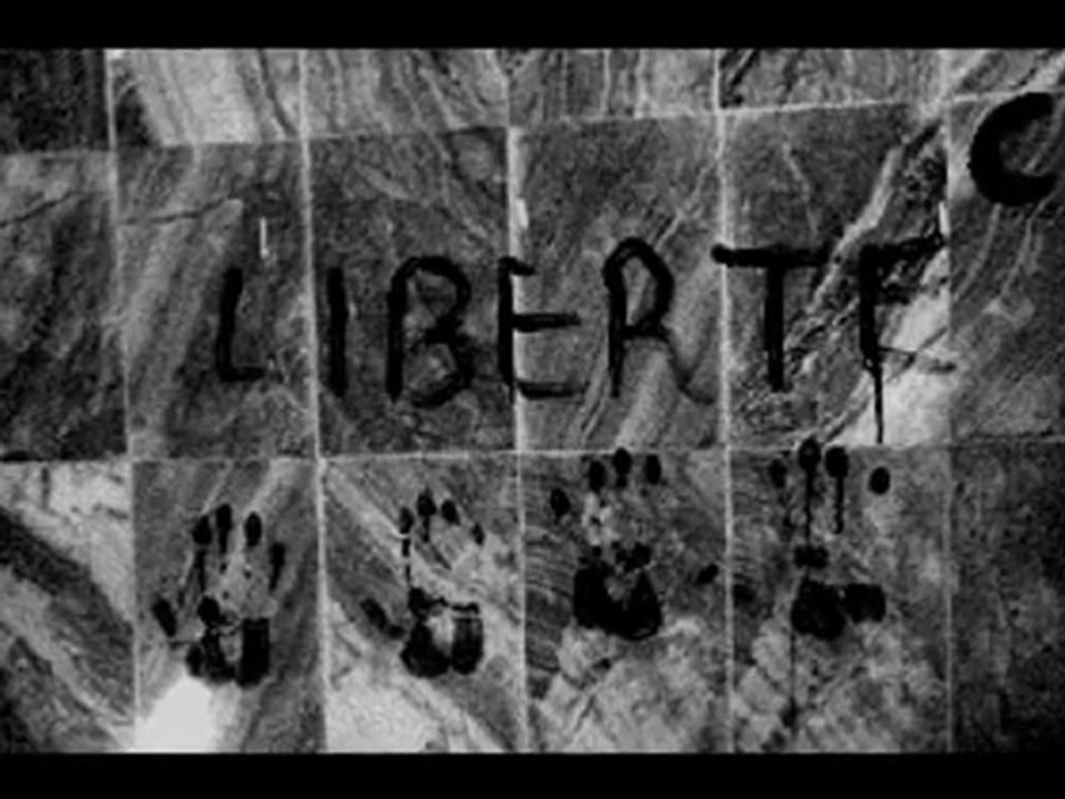 Tafsut Taneggarut  Zimu