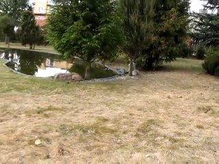 ABRYS Piękny Dom, Olsztyn, ul. Rolna