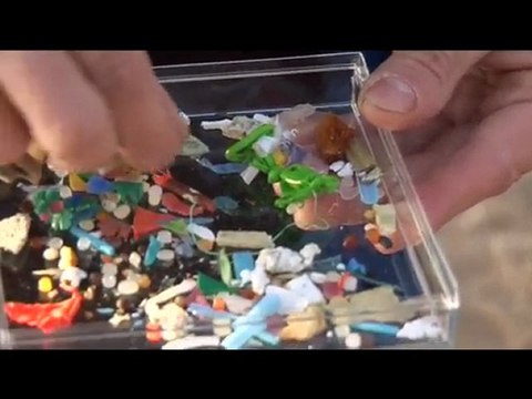 Déchets la mer se rebelle : semaine du développement durable