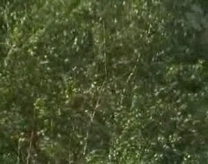 Modrec - Three Armed Man