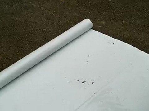 entraînement au clicker petit âne Merlin et le tapis