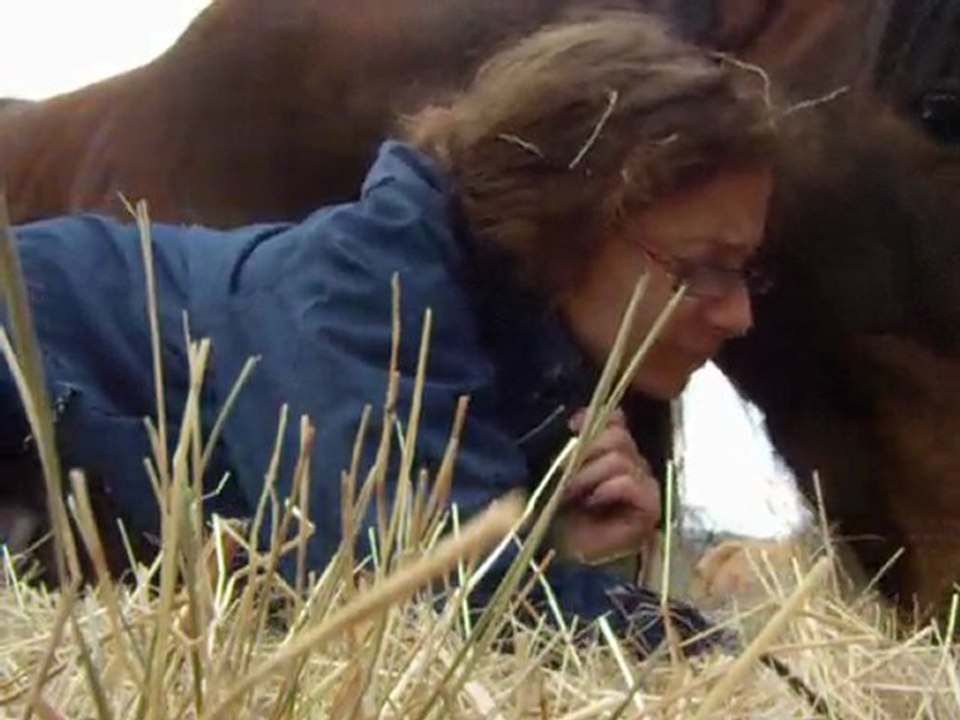Ténor le bonheur est dans le pré 1