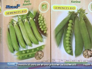 Le retour du jardinage ! (Alsace)