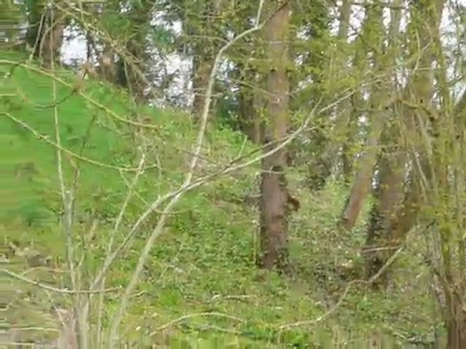 Les cars d'Orsay en grève