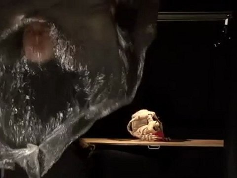 PAR DELA LE MARAIS - extrait n°2 - la piscine