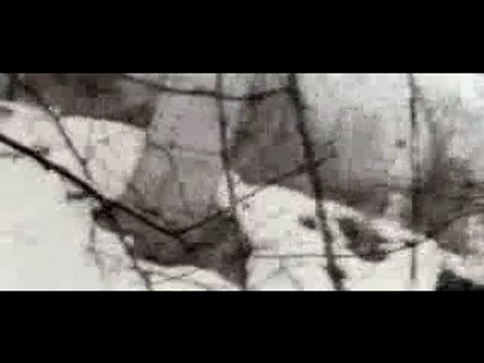 Mylene Farmer - Regrets-by A&D