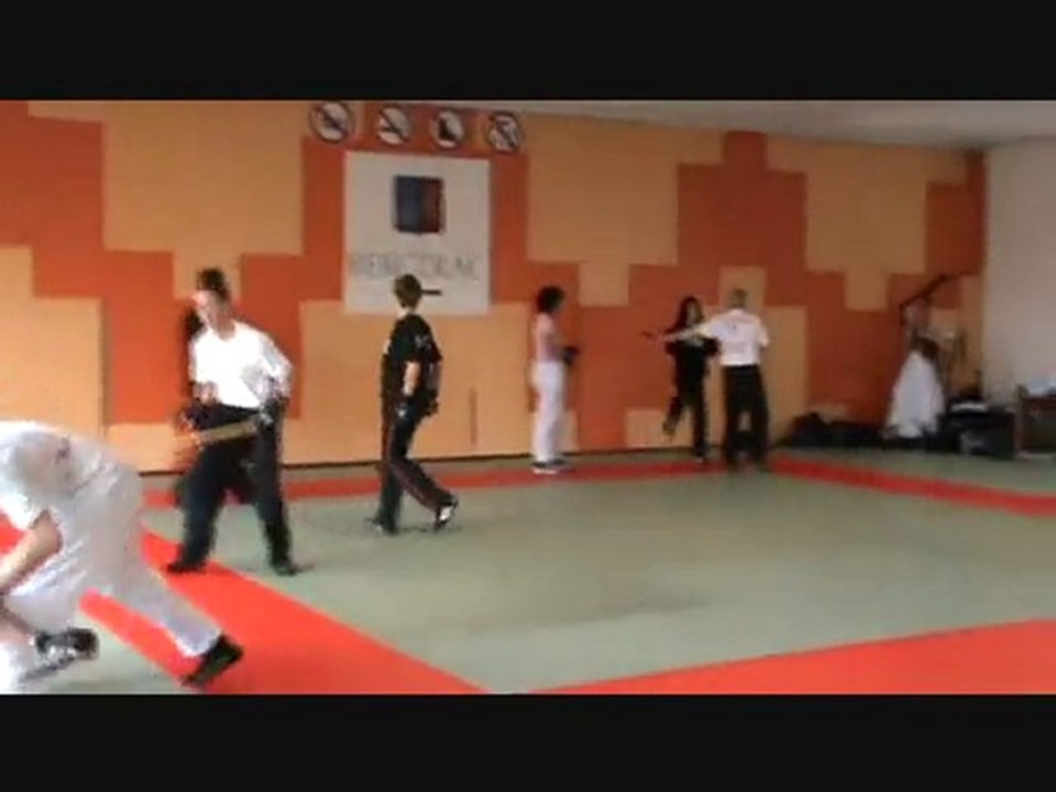 Stage Savate Défense du 28 mars 2010 Vidéo 2