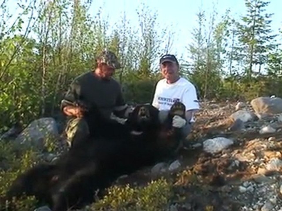 chasse à l`ours lac st-jean