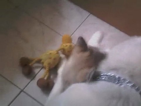 Eaisty et funkyss gros calins