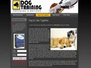 Dog Training | Programs and Reviews