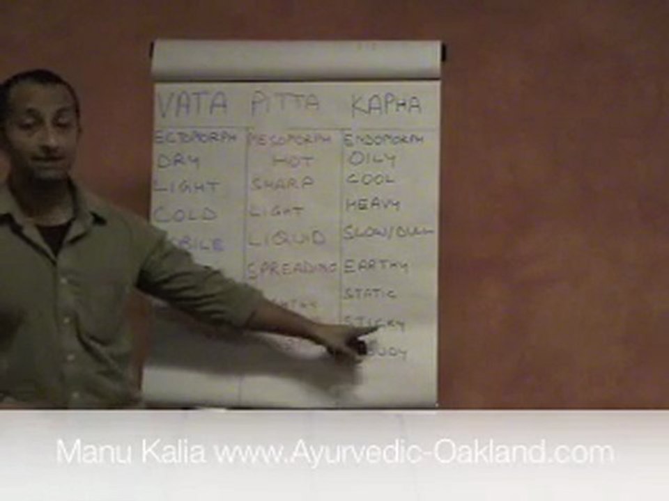 Manu Kalia - Wisdom of Ayurveda Lecture 4