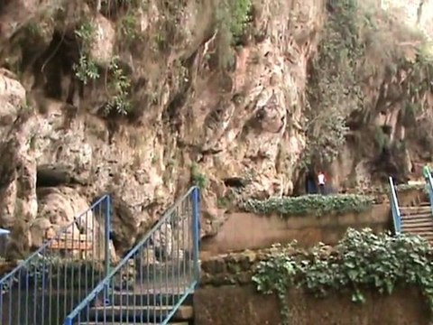 Şelale Düden Antalya Fauna, Flora Ve Endemik Yapı - Nature