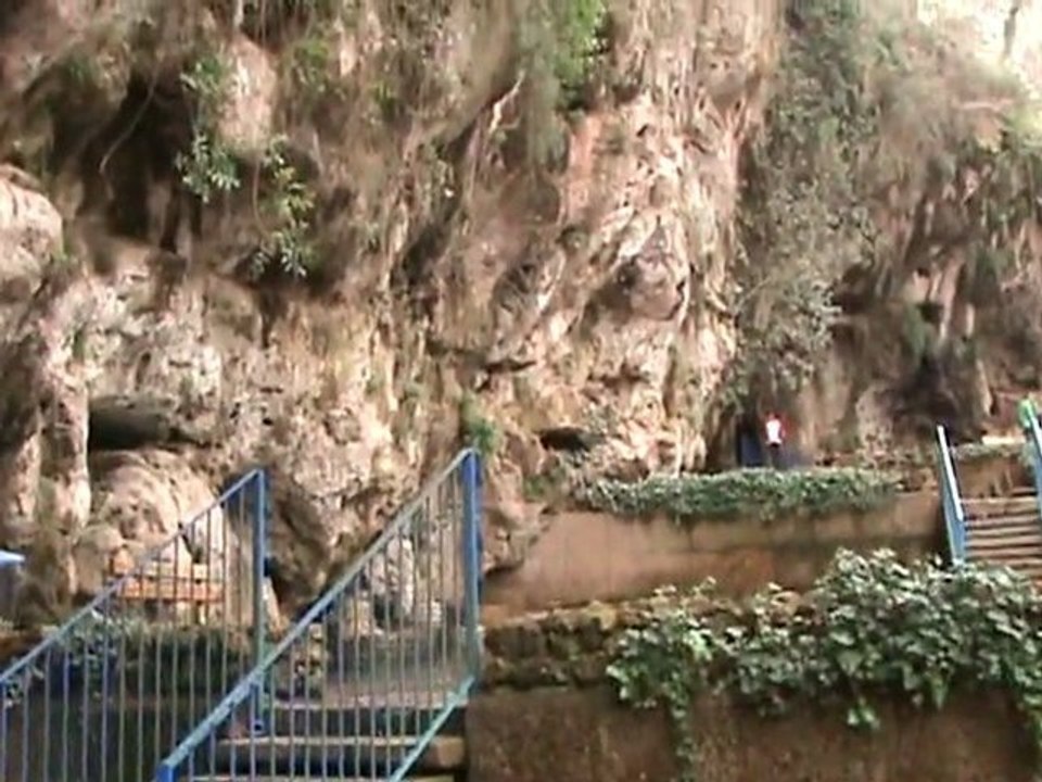 Şelale Düden Antalya Fauna, Flora Ve Endemik Yapı - Nature