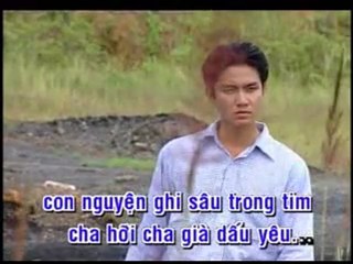 Tinh Cha - Truong Vu