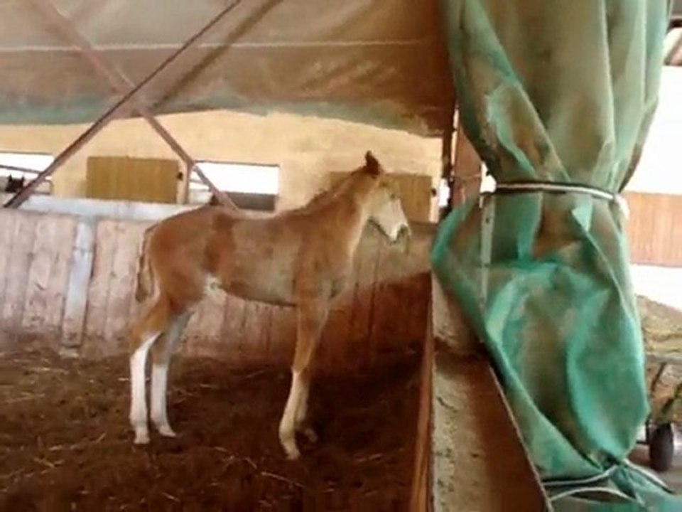 bon c l'heure de faire miam miam !!!! hihi!!!