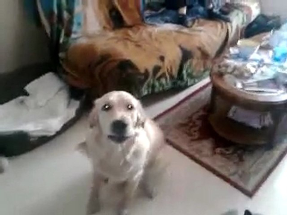 Vidéo0014