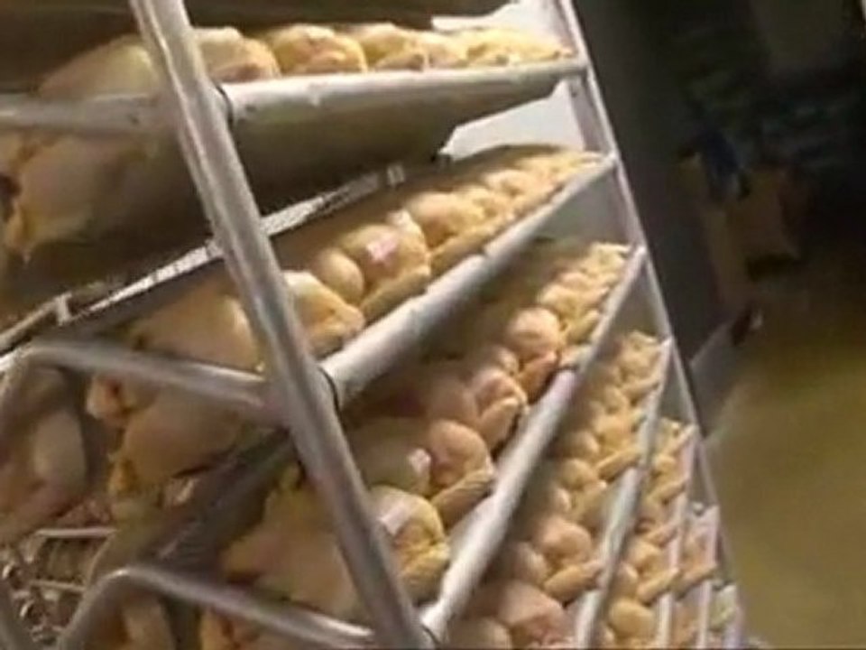 KFC pas halal !!