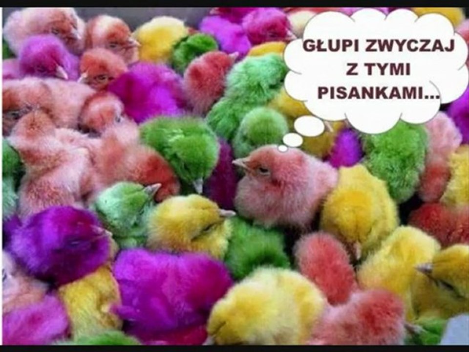 ŻYCZENIA WIELKANOCNE - Śmieszne "Życzenia z JAJEM" - Zobacz