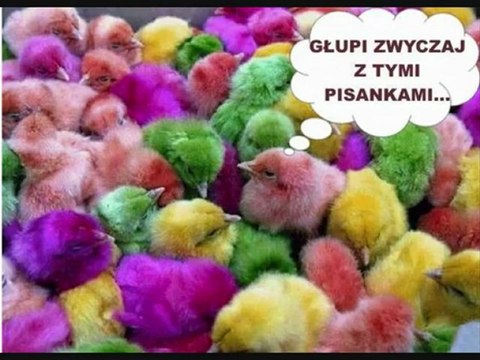 ŻYCZENIA WIELKANOCNE - Śmieszne Życzenia z JAJEM - Zobacz