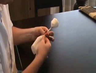 Une Rose avec une Serviette en Papier