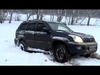 Это она Pradа