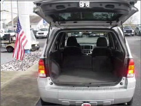 2007 Ford Escape Clearwater FL - by EveryCarListed.com