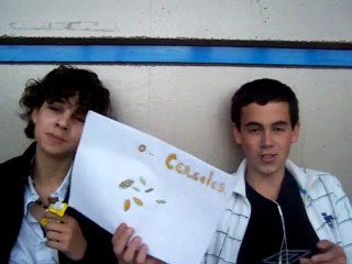 espagnol Hendy/Alexis