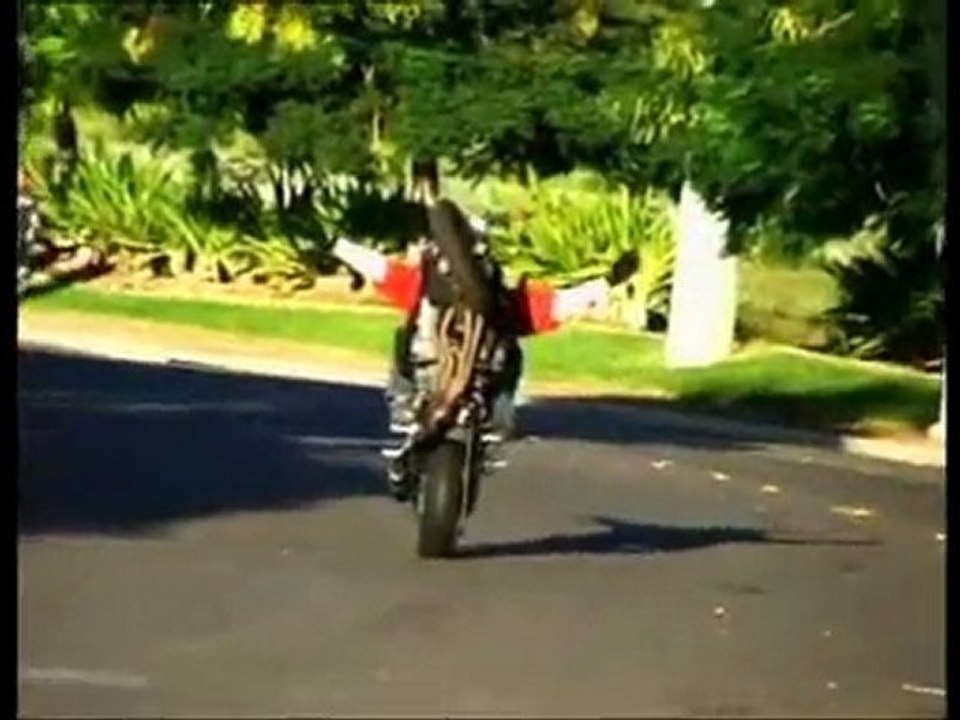 Crash Back Hot Style Bike v-9