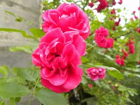 Diaporama de l'année 2009 - 18ème partie