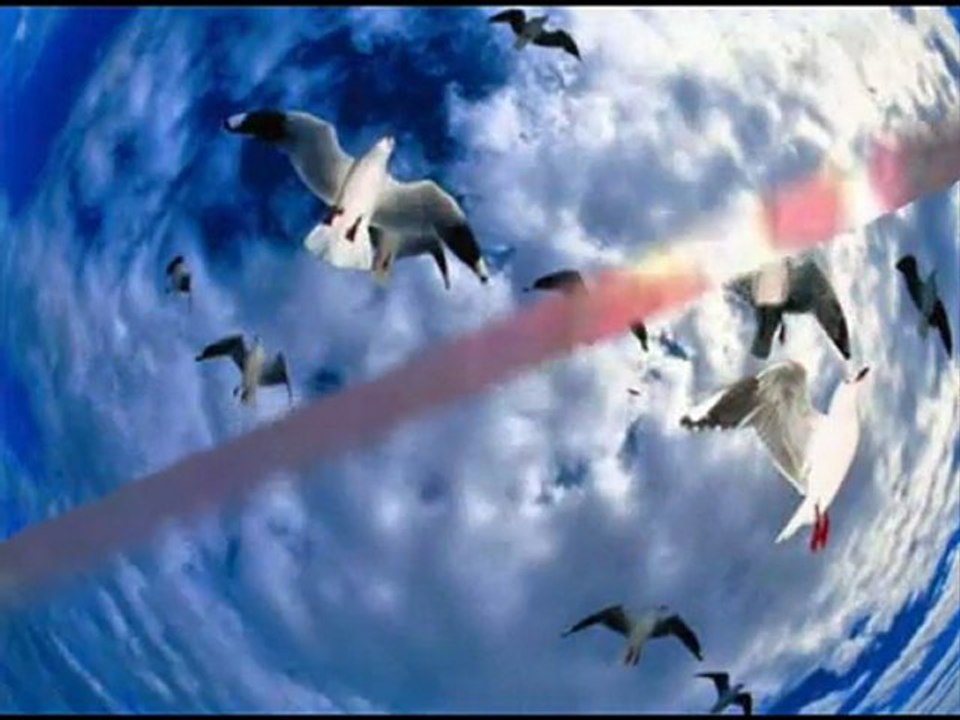 Mustafa Dursun- Bahçelerde Açan Güller