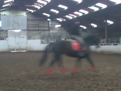 balou apprend avec sandy, moi avec princesse