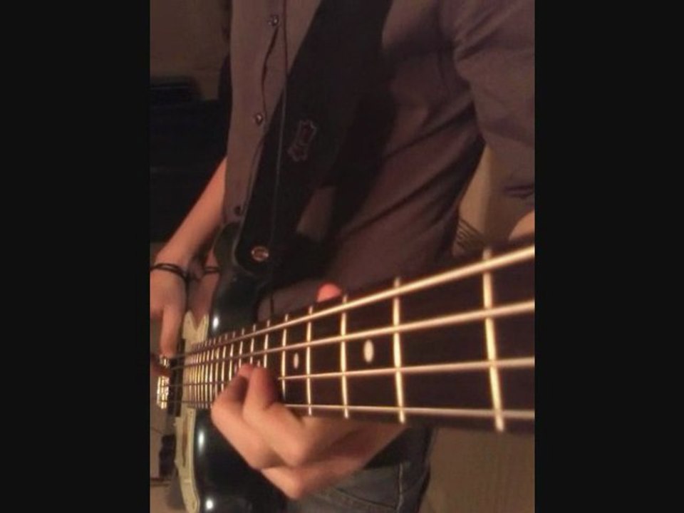 The Strokes - Reptilia (Bass Cover)