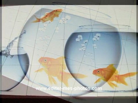 Déco : Photo sur carrelage d'intérieur et faïence imprimée