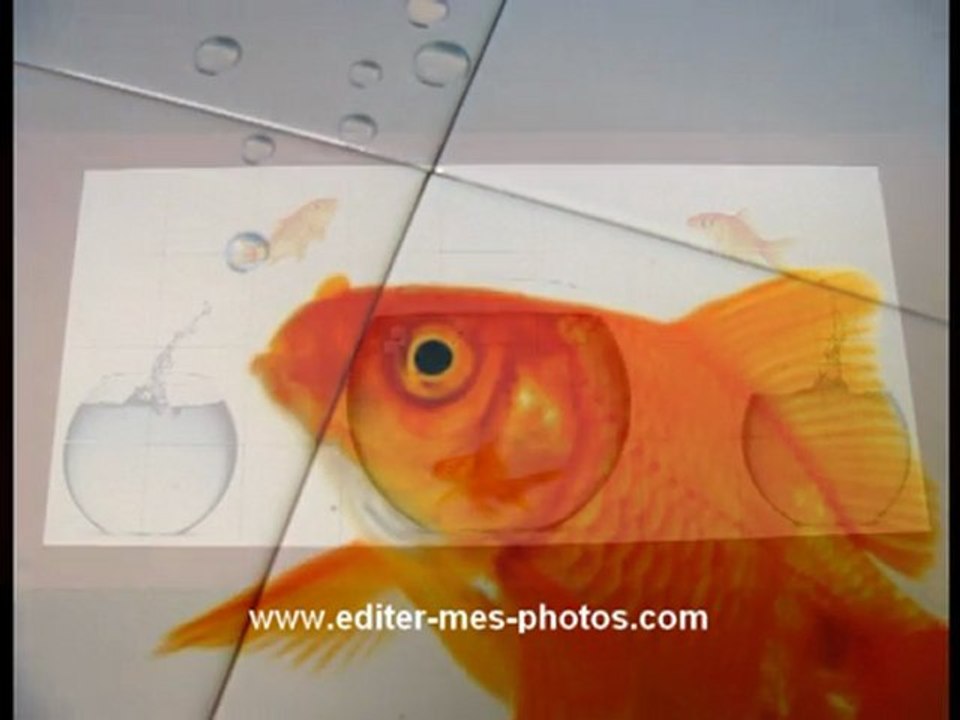 Photo sur carrelage : réalisation d'un triptyque mural DECO