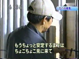 2010年4月2日の平川動物公園のニュース
