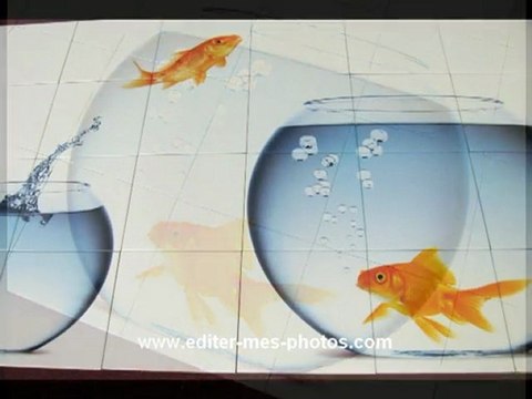 Photo sur carrelage intérieur et carrelage imprimé intérieur