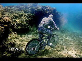 under water mesium forwarded pictures www.rewali.com
