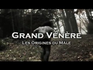 Grand Vénère - Les Origines du Mâle