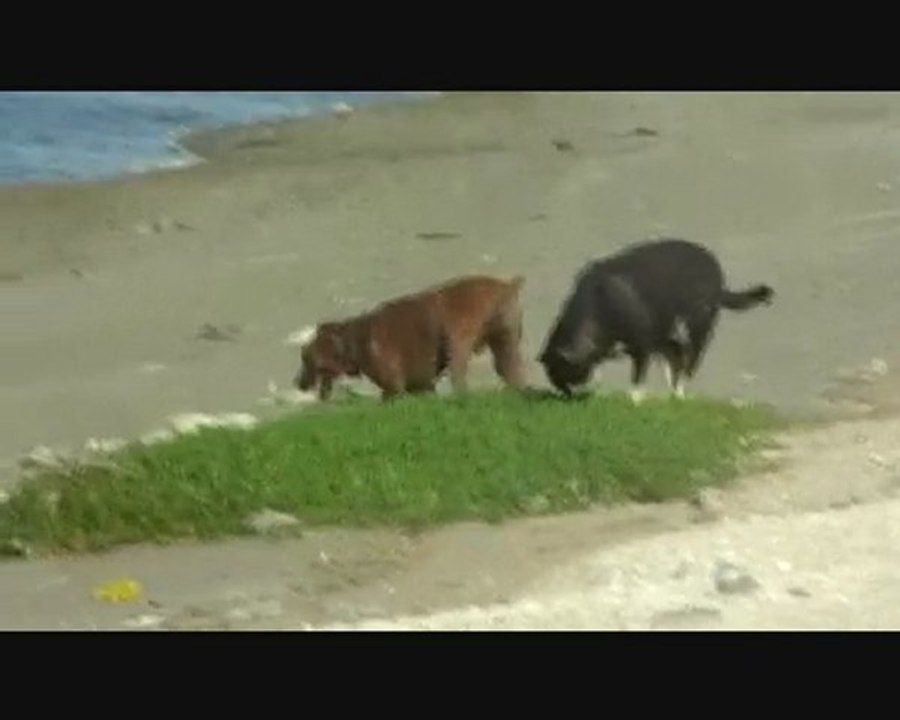 Best Motivational Speaker Dubai - Dave Crane