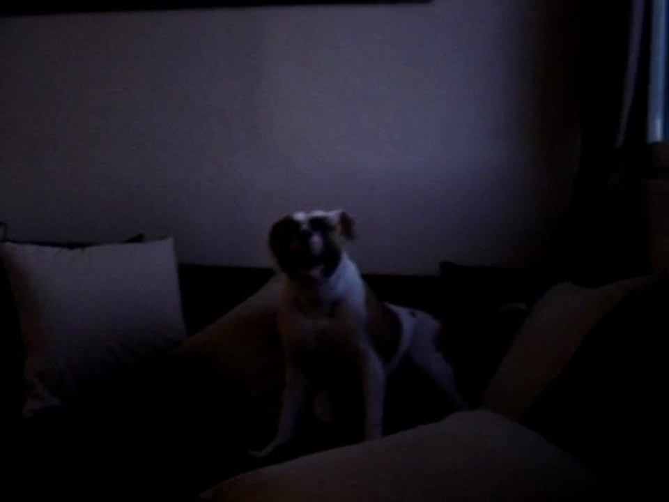 malone pete les plonds