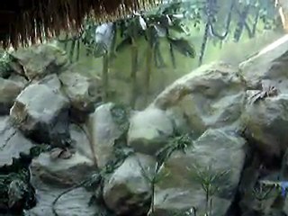 SERHAVUZ ve ŞELALE SİSTEMLER  [ANTALYA MARDAN  OTELİ DİSKOSU