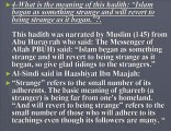 Islamic Questions -38 (6 Questions on Hadiths Strength )