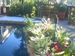 Building Numis Network at the Tora Leigh