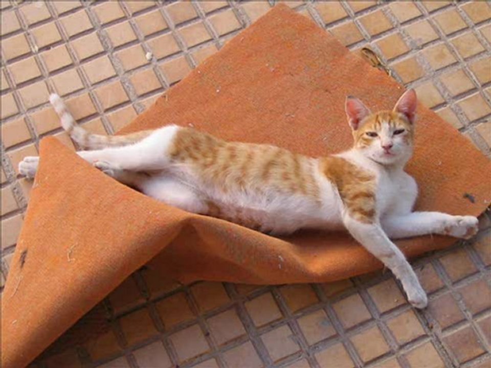 intru rnb hiohop rnb rap